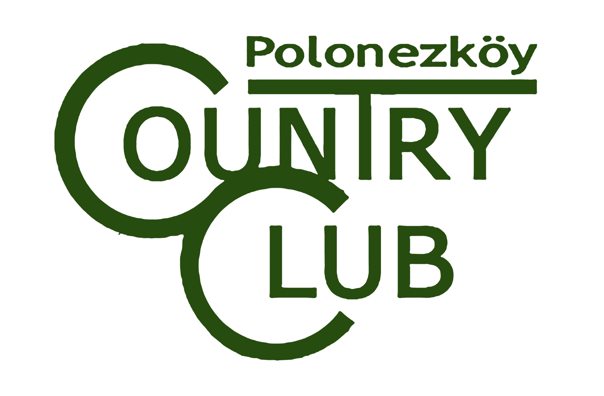 a04e67_3b4ddcfe994e4c32a2f10daf0ac6b491~mv2